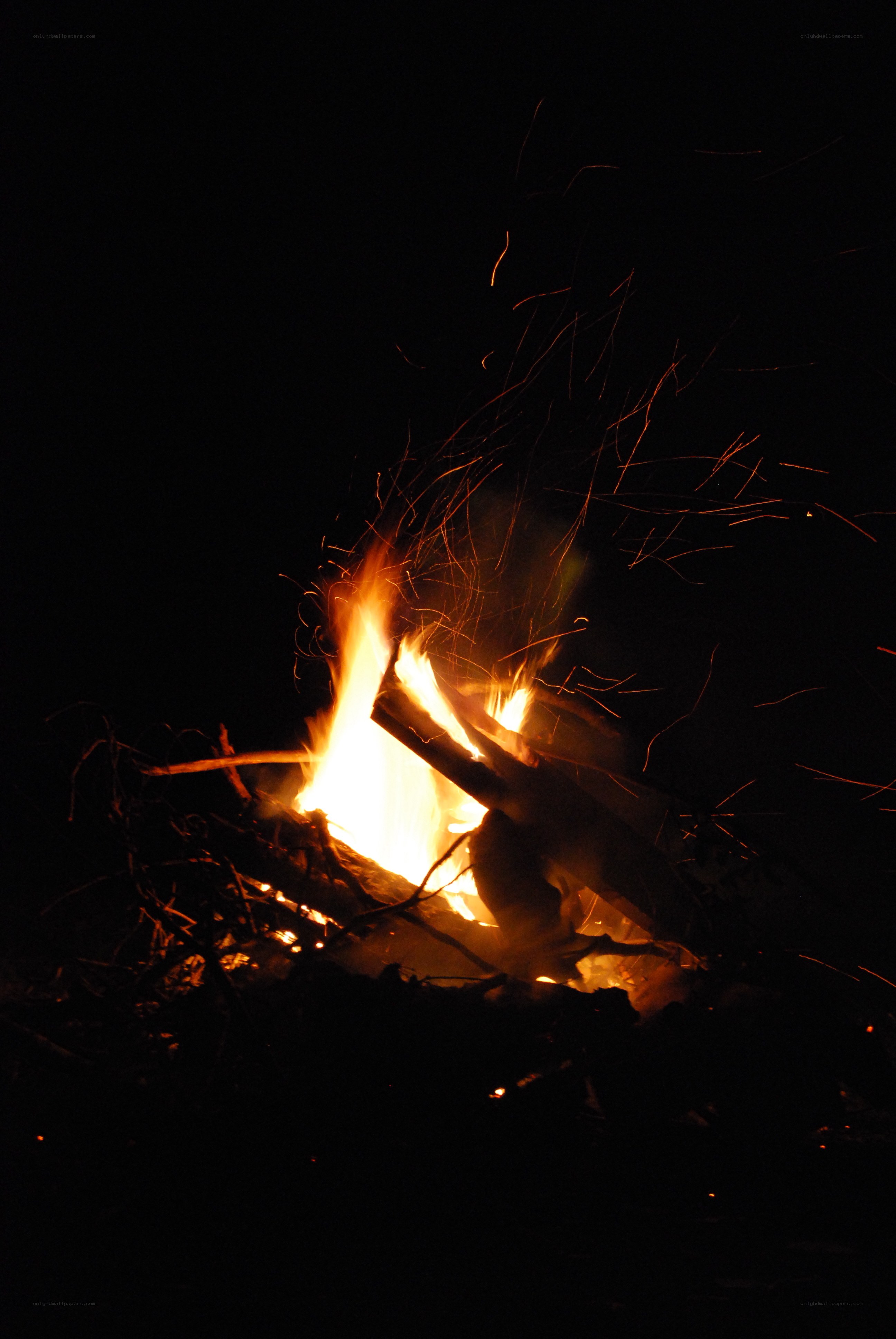 campfire at night