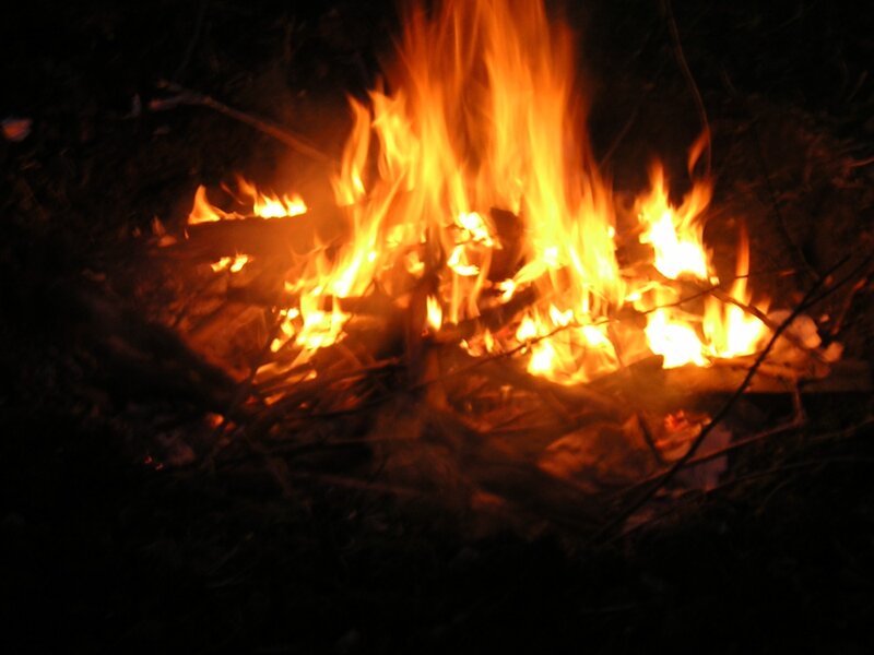 campfire at night
