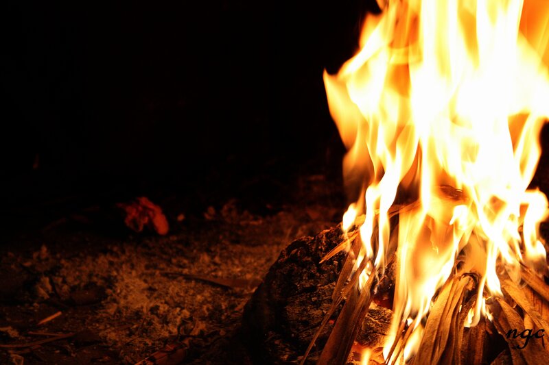 campfire at night