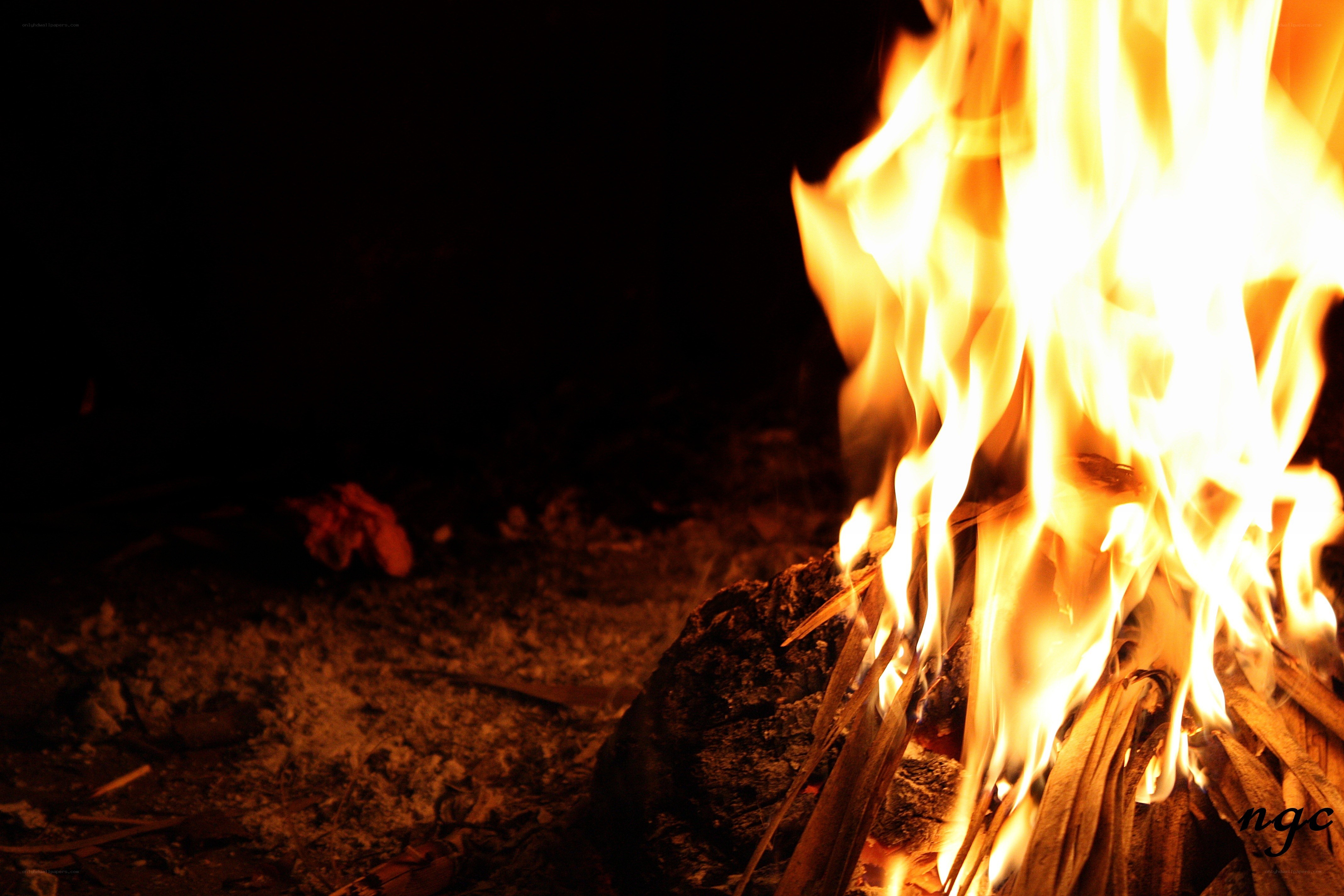 campfire at night