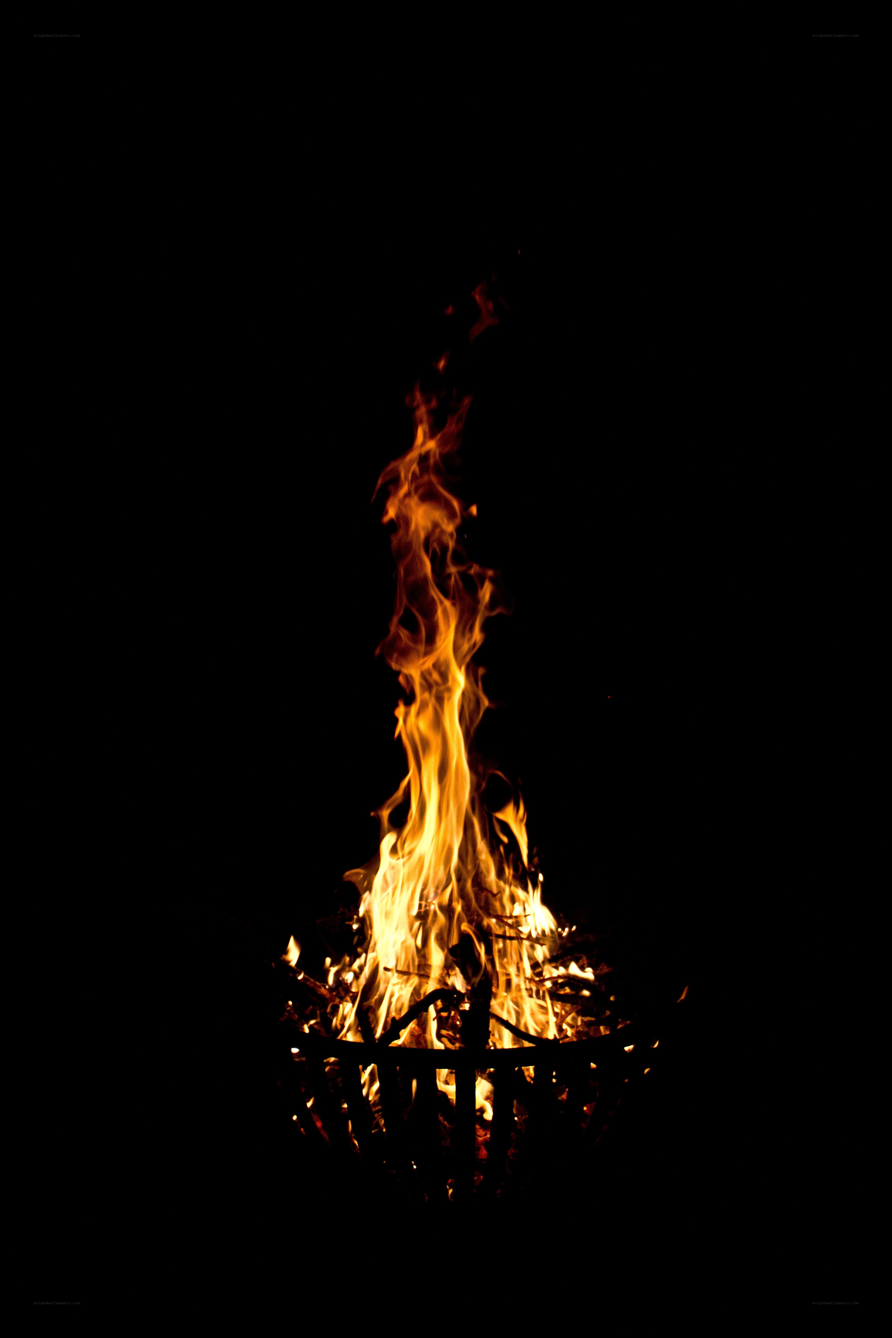 campfire at night