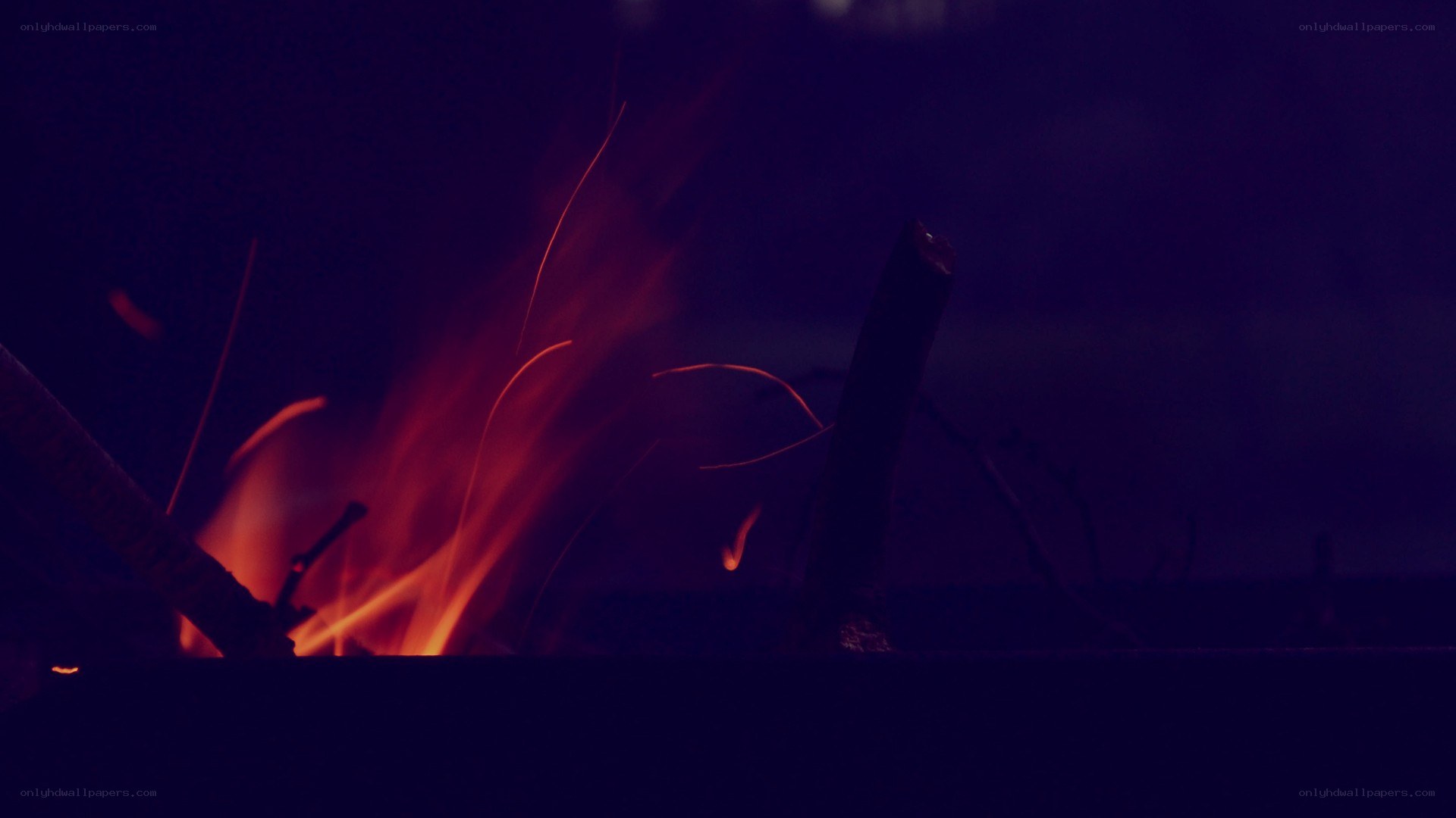 campfire at night