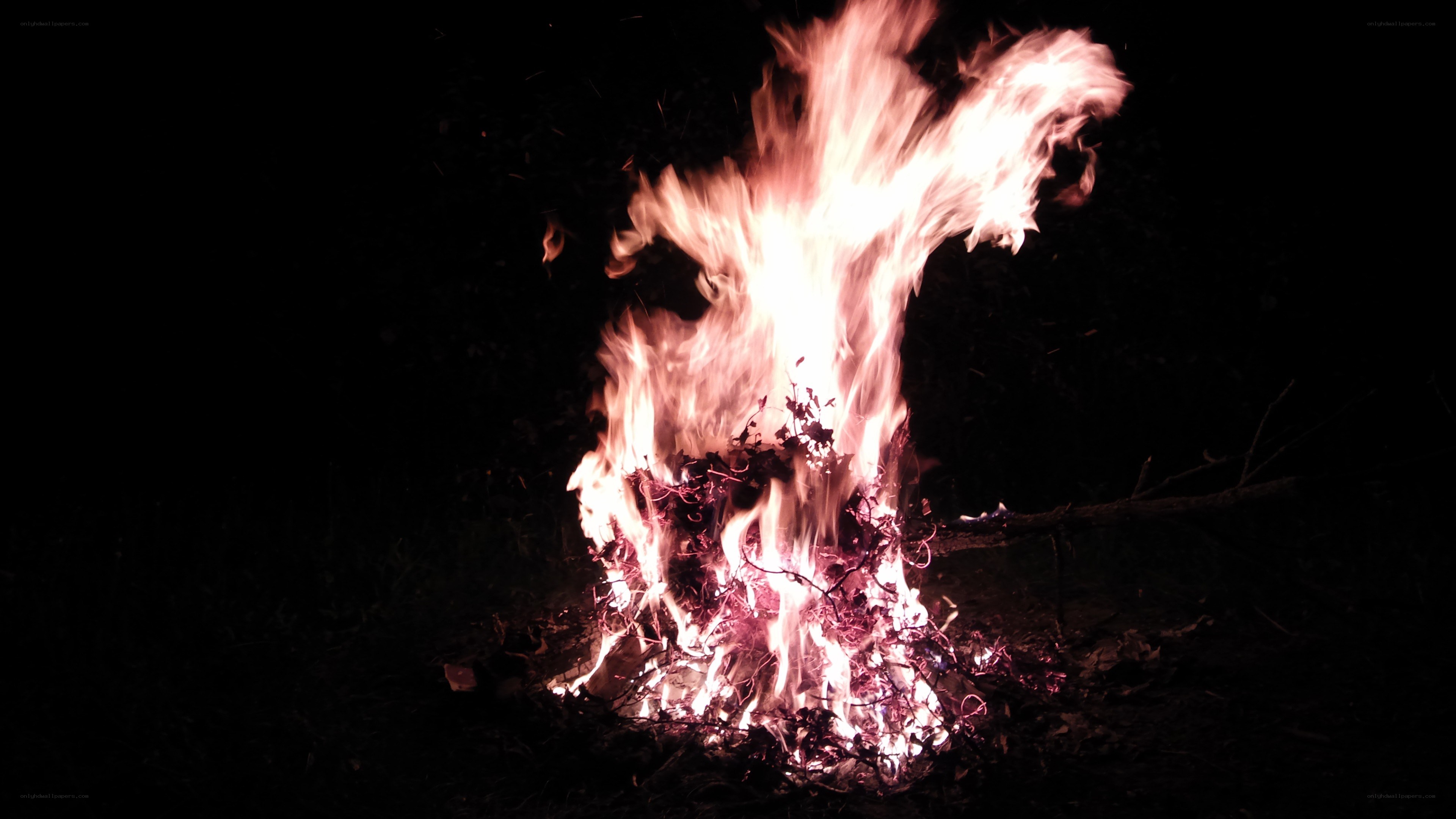 campfire at night