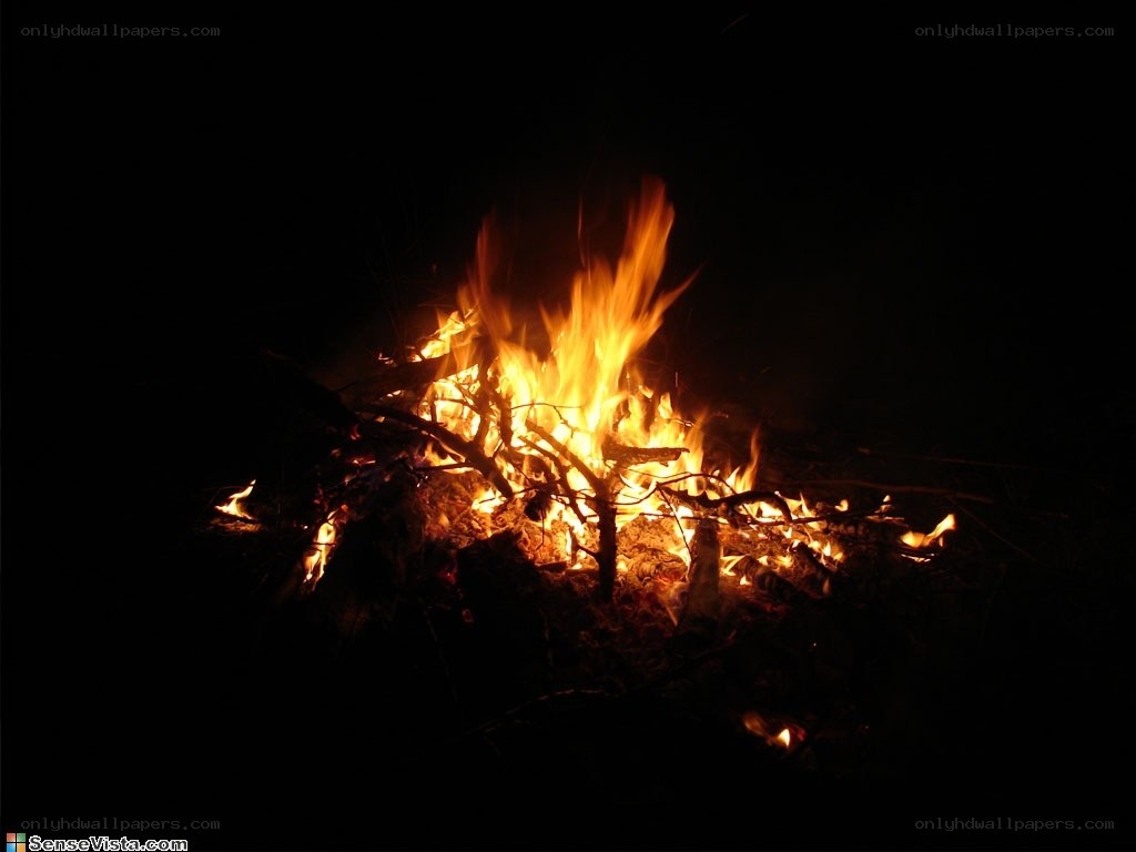 campfire at night