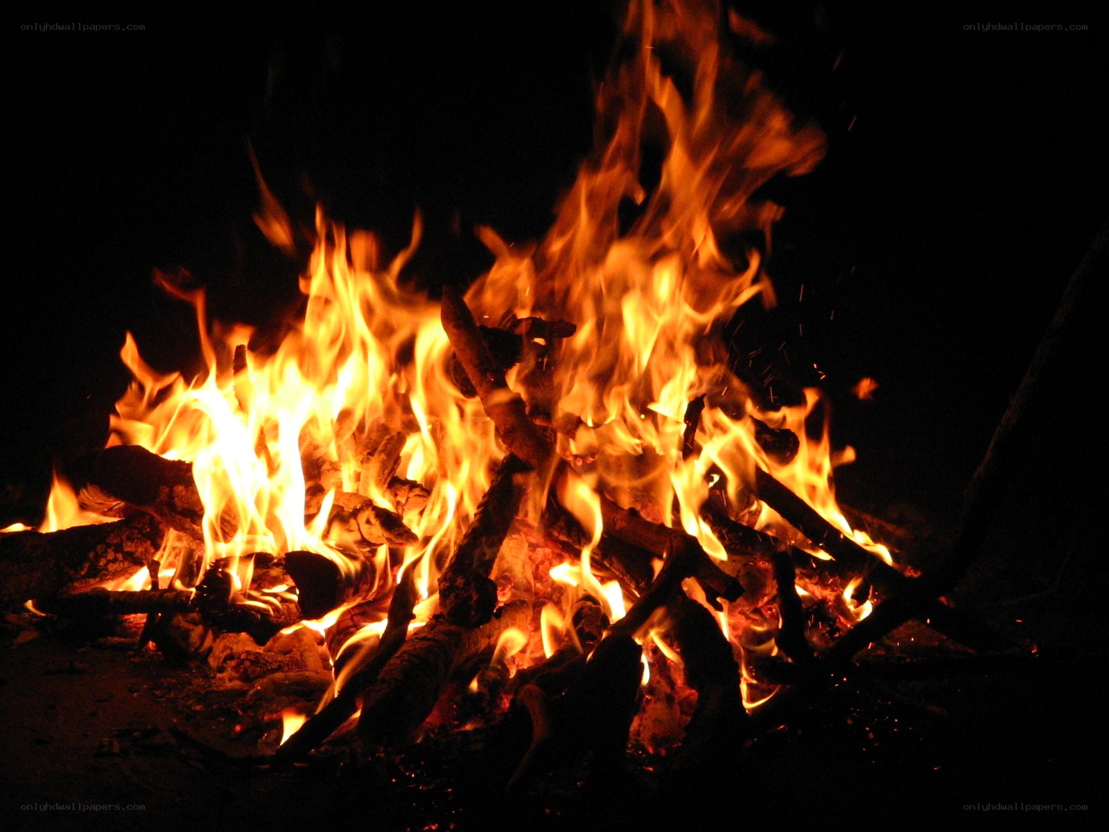 campfire at night