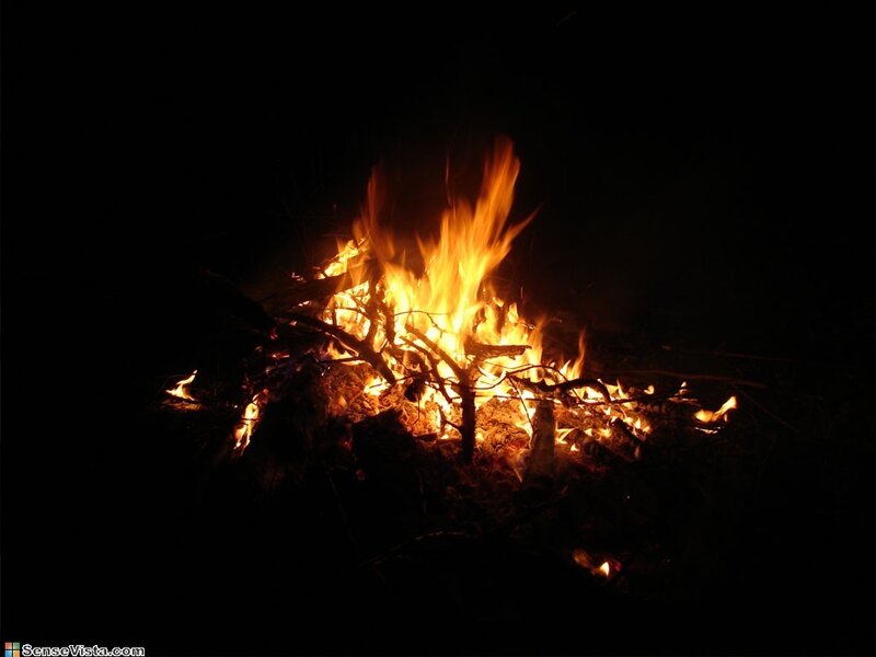 Campfire at Night — Black, Dramatic, Photograph, Flames, Wood, Darkness, Orange