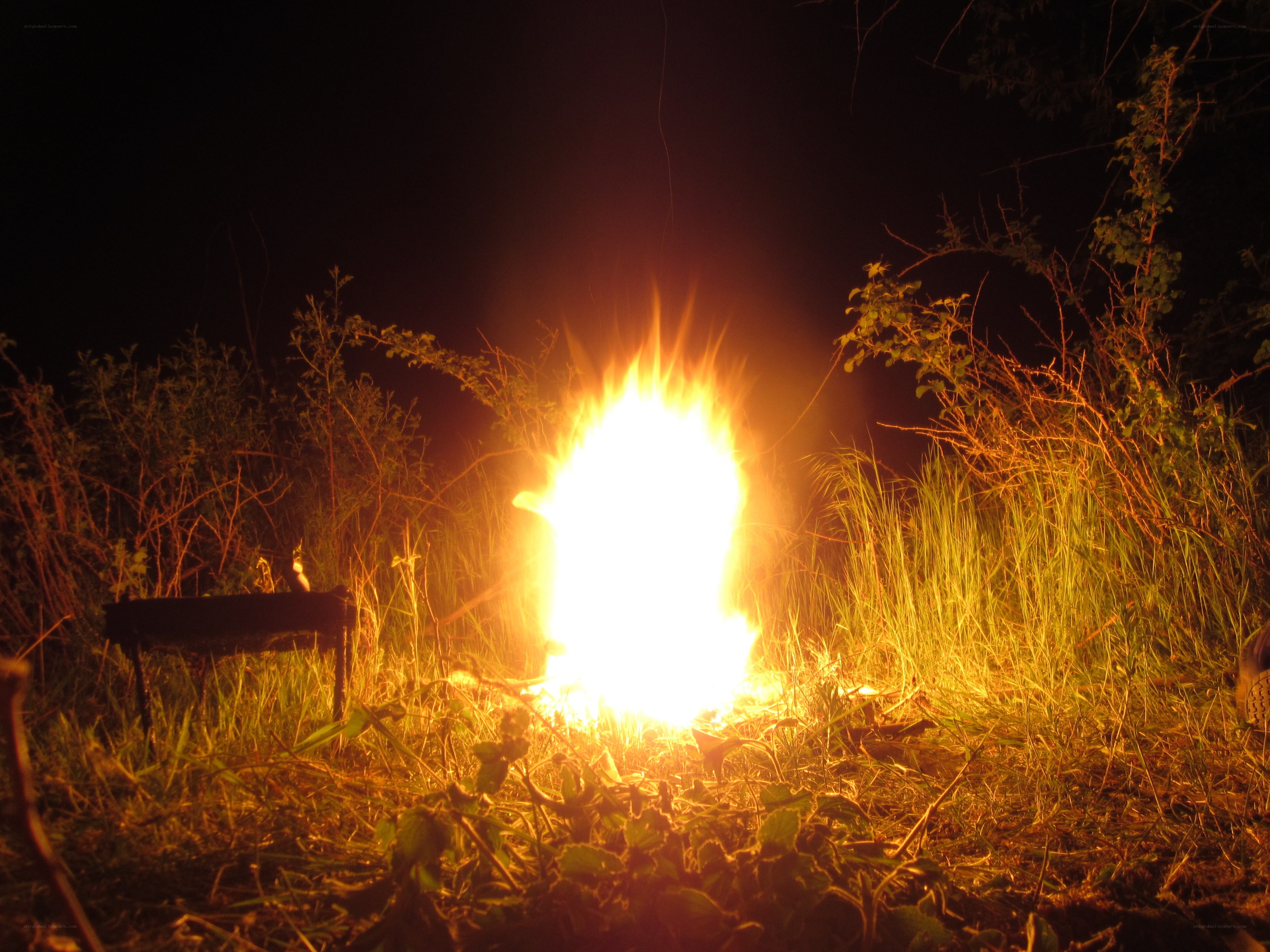 campfire at night in the wild