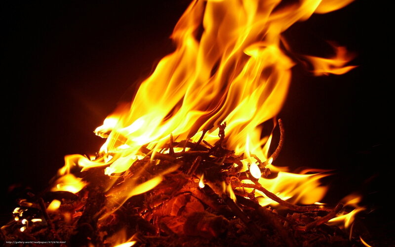 Campfire at Night — Orange, Dramatic, Photograph, Flames