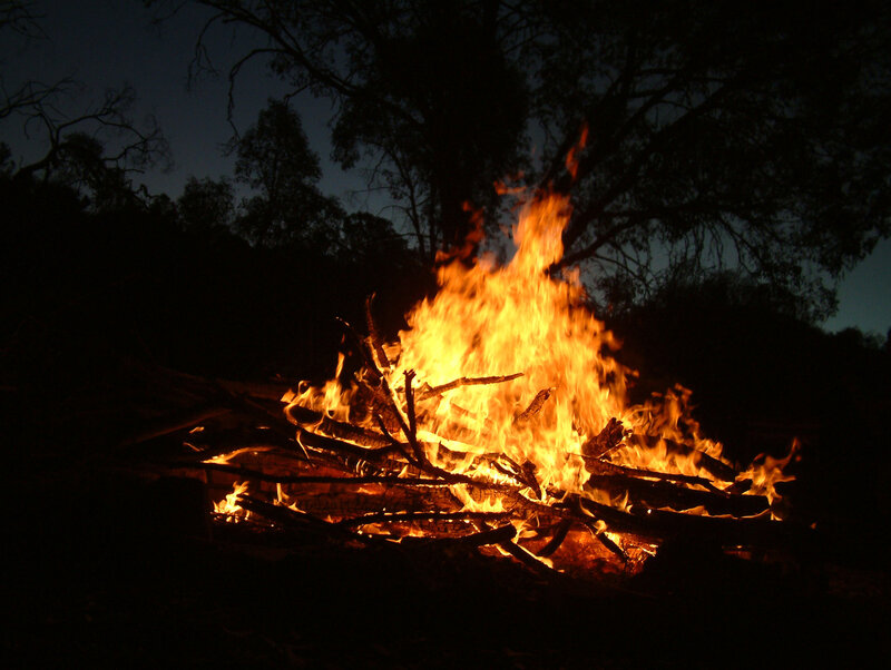 Campfire at Night — Orange, Dramatic, Photograph, Trees