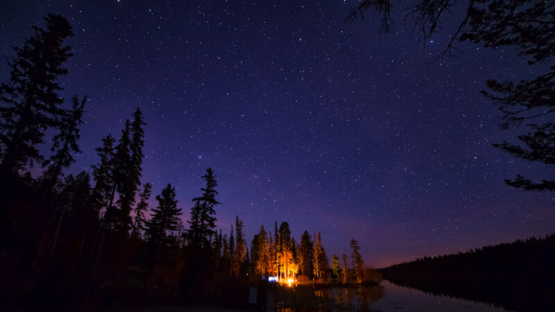 Campfire at Night — Purple