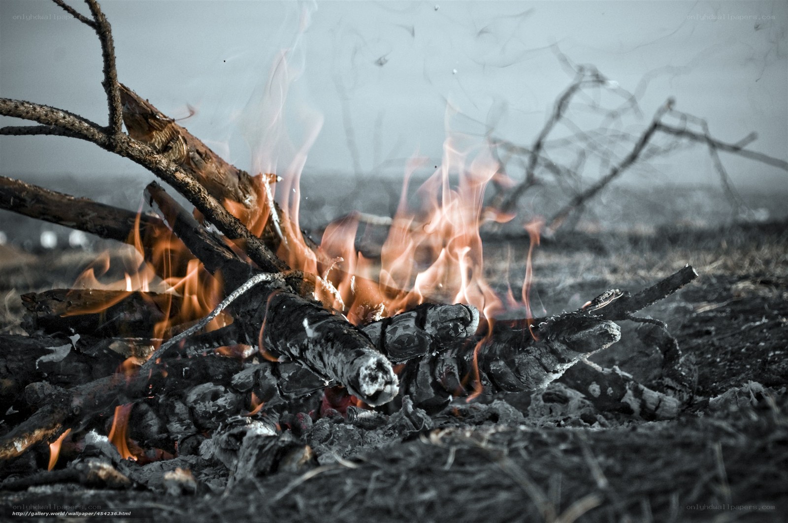 campfire burning at dusk