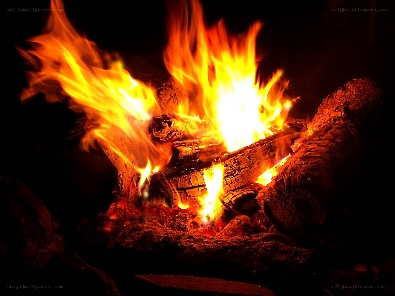 campfire burning at night