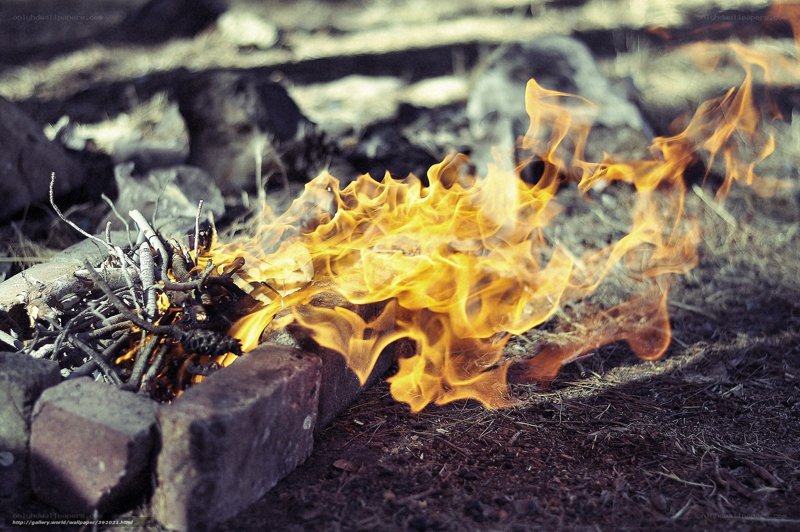 Campfire burning brightly