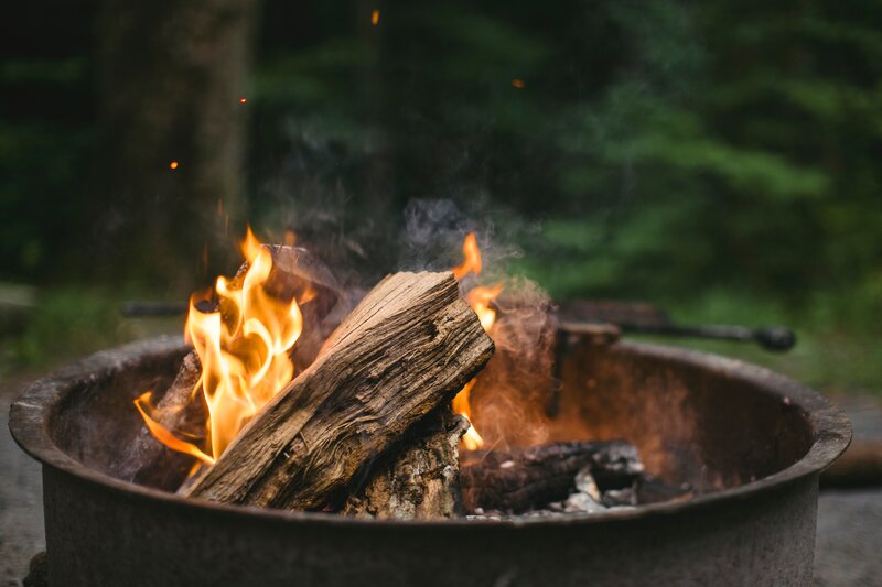 campfire burning in forest