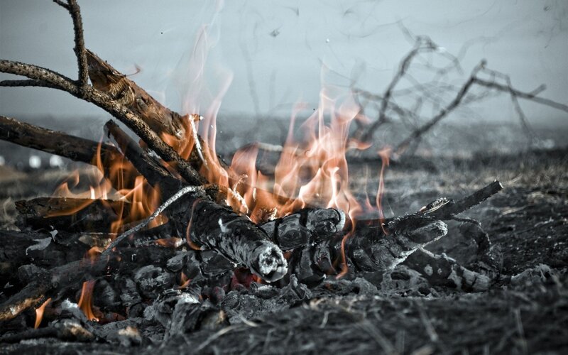 Campfire burning in the wild