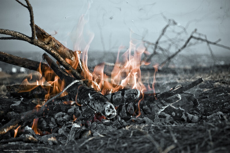Campfire Burning