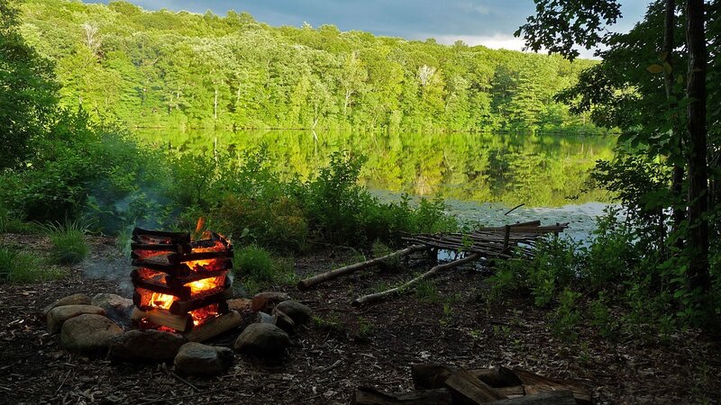 Campfire by Lake — Green, Serene, Afternoon, Photograph, Forest, Wooden Structure
