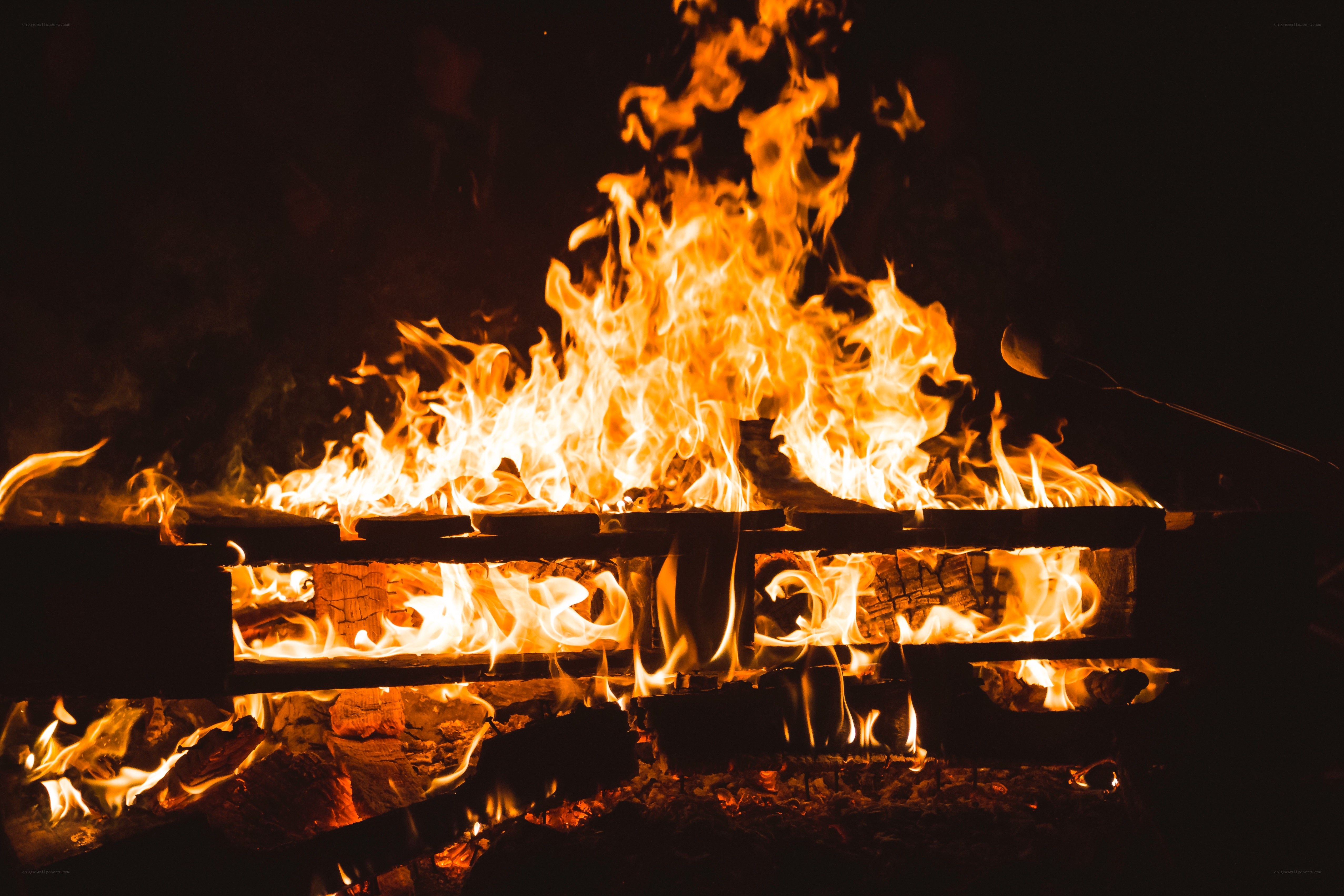 campfire flames at night