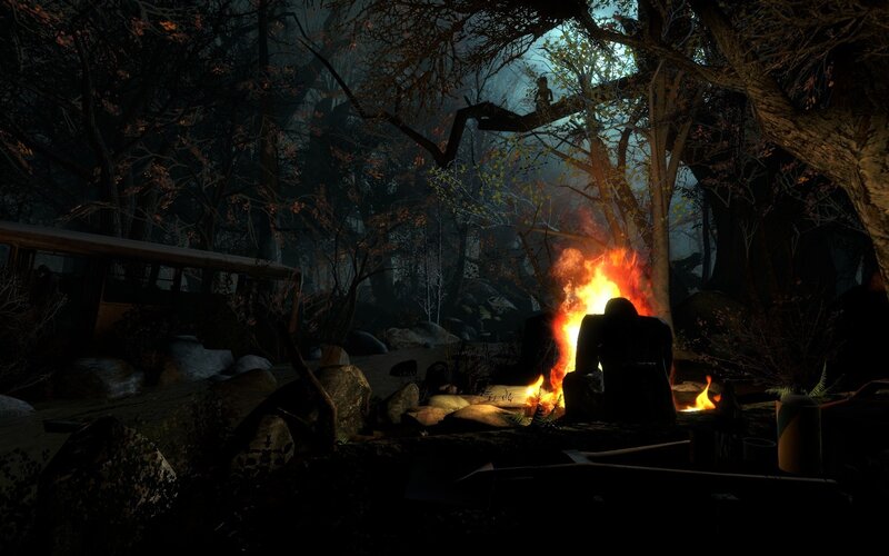Campfire in a dark forest