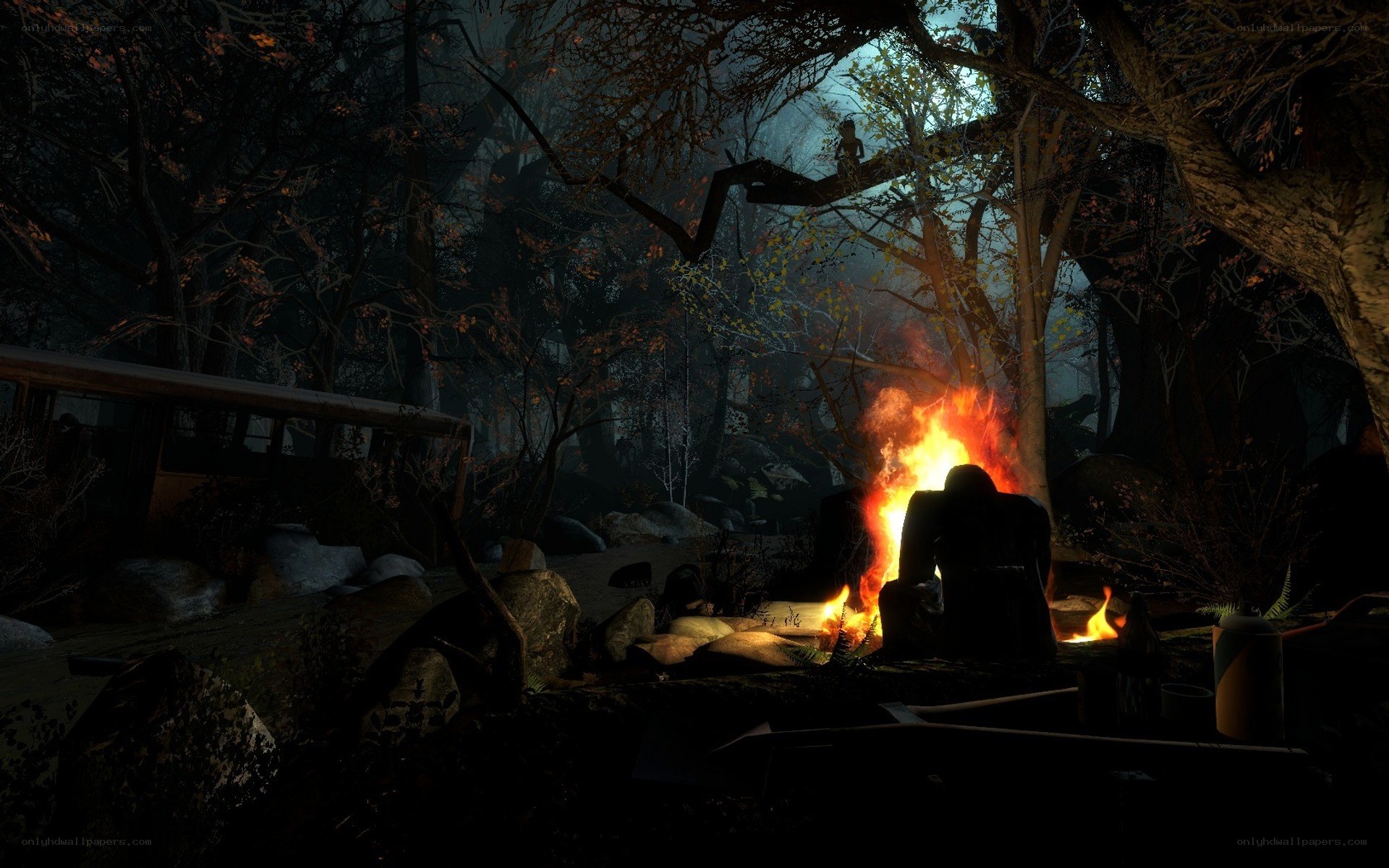 Campfire in a dark forest