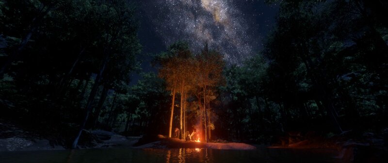Campfire in Forest — Black, Serene