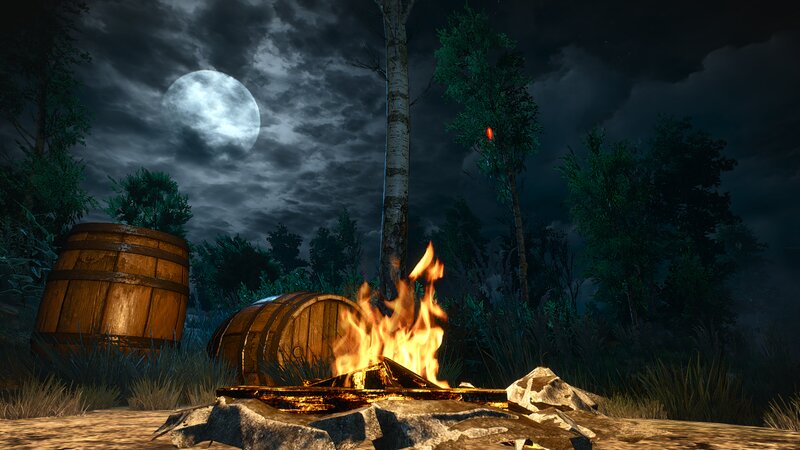 Campfire in Forest — Black