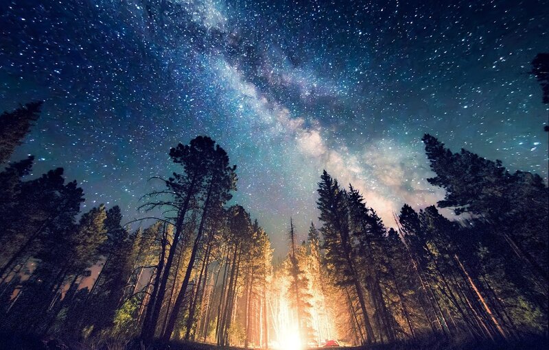 Campfire in Forest — Blue, Serene, Night, Photograph