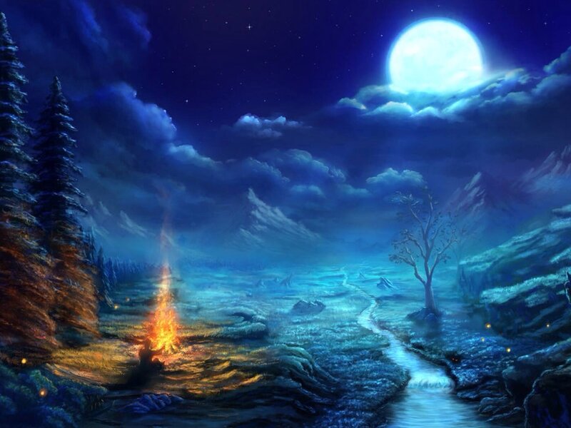 Campfire in Forest — Blue, Serene, Night