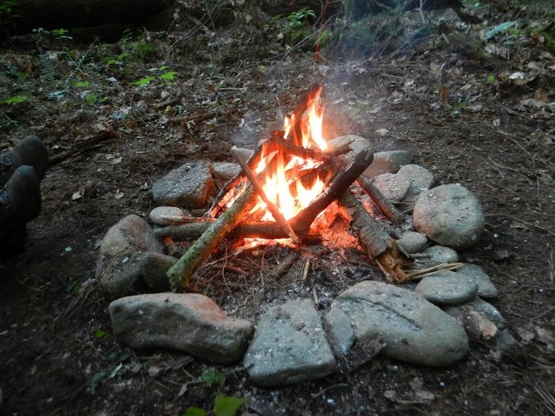 Campfire in forest clearing