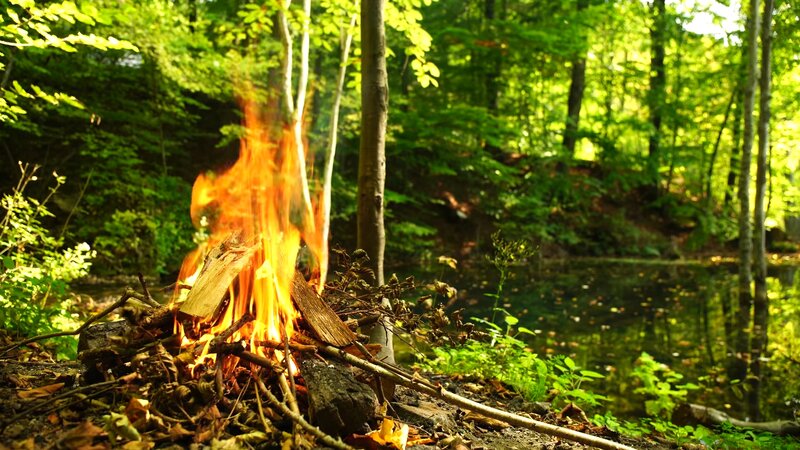 Campfire in Forest — Green, Serene
