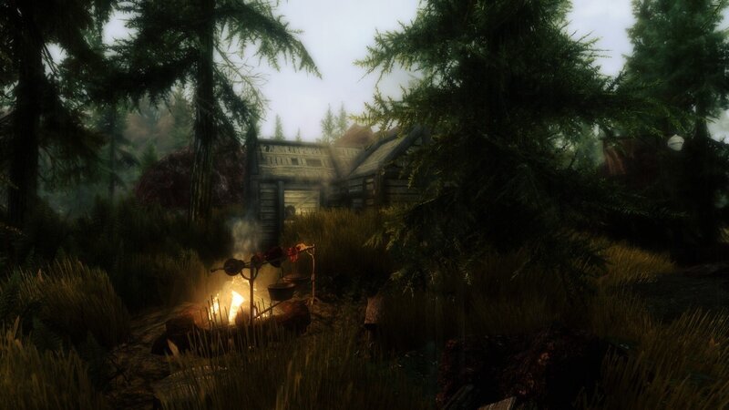 Campfire in Forest — Green