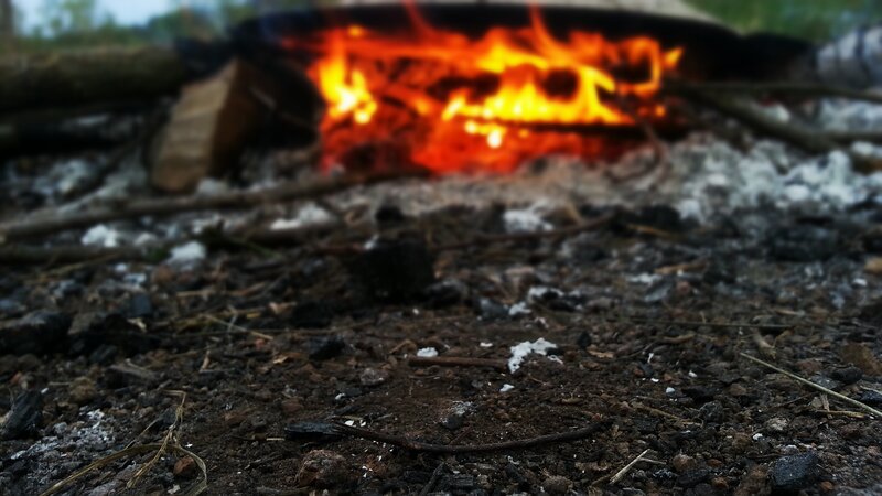 Campfire in Forest — Orange, Calm
