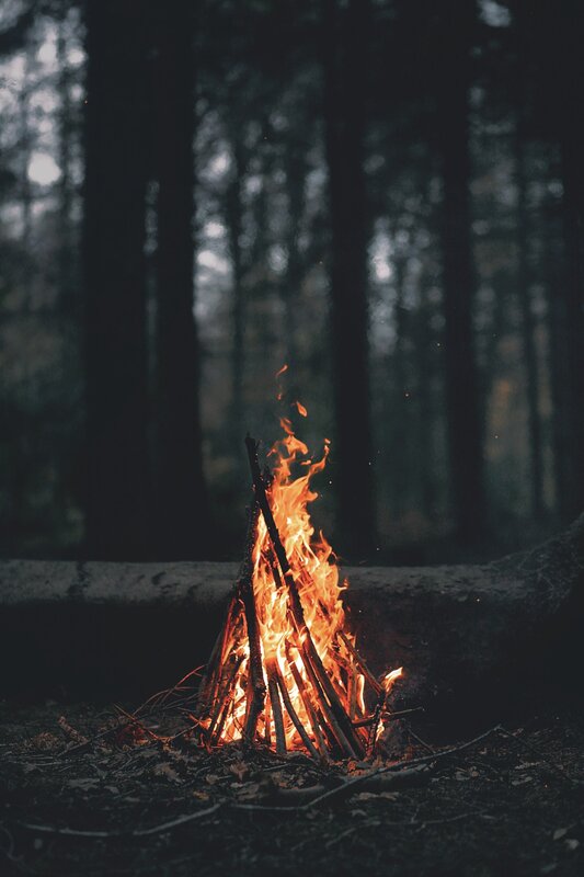 Campfire in Forest — Orange, Dramatic