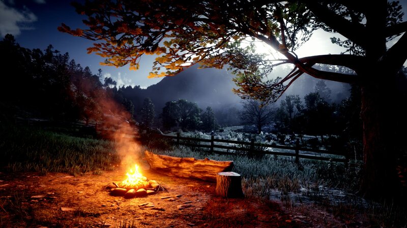 Campfire in Forest — Orange, Serene