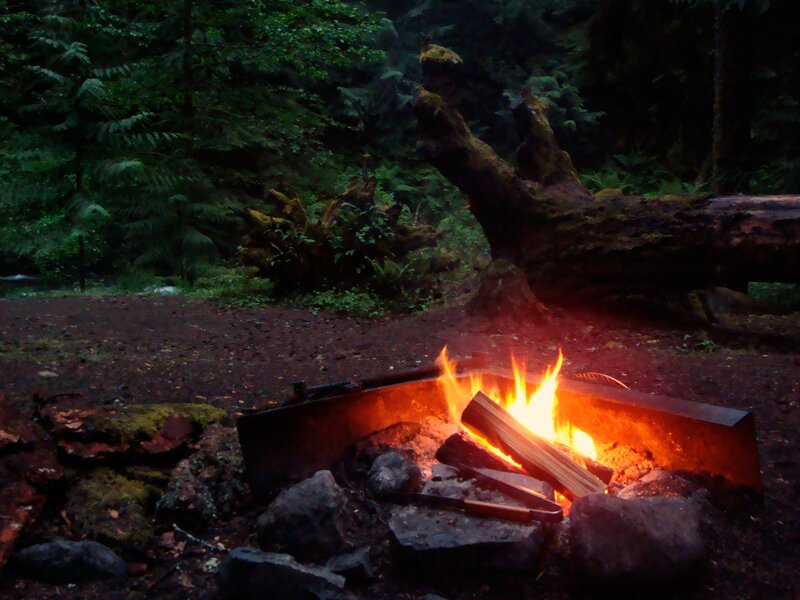 Campfire in Forest — Orange