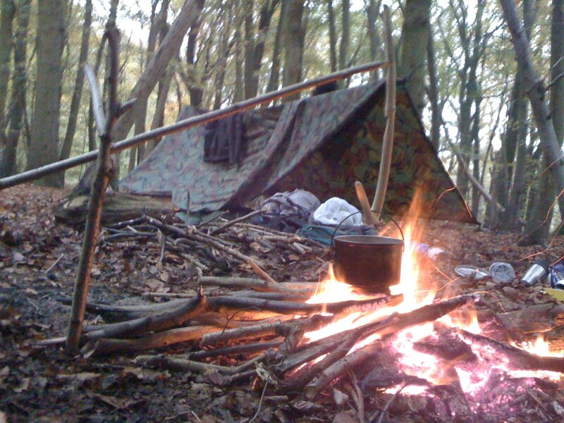 Campfire in Forest