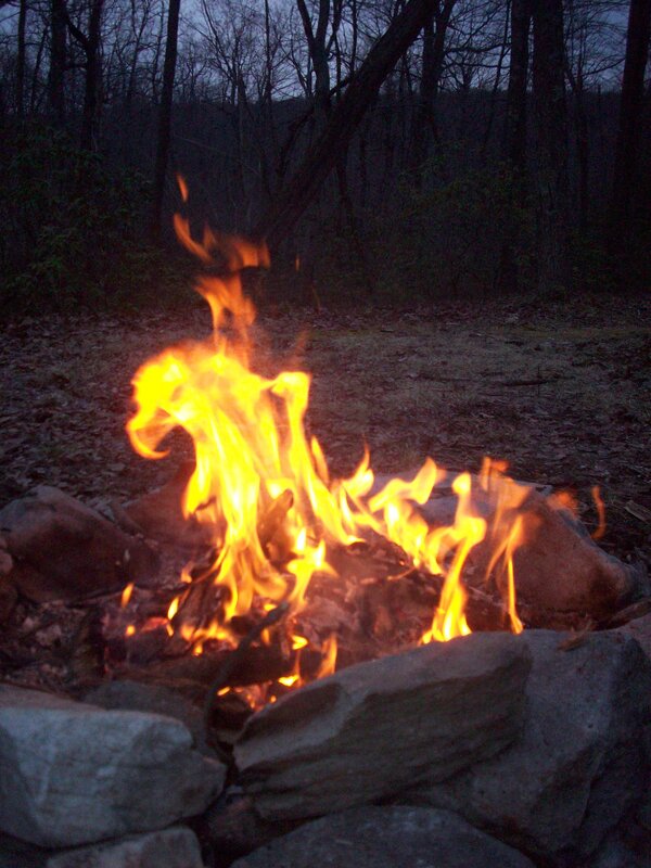 campfire in the woods