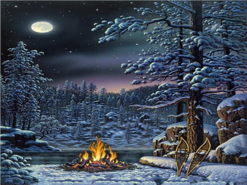 Campfire in Winter Forest