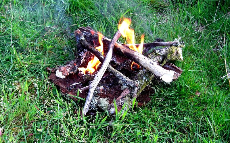 Campfire on Grass