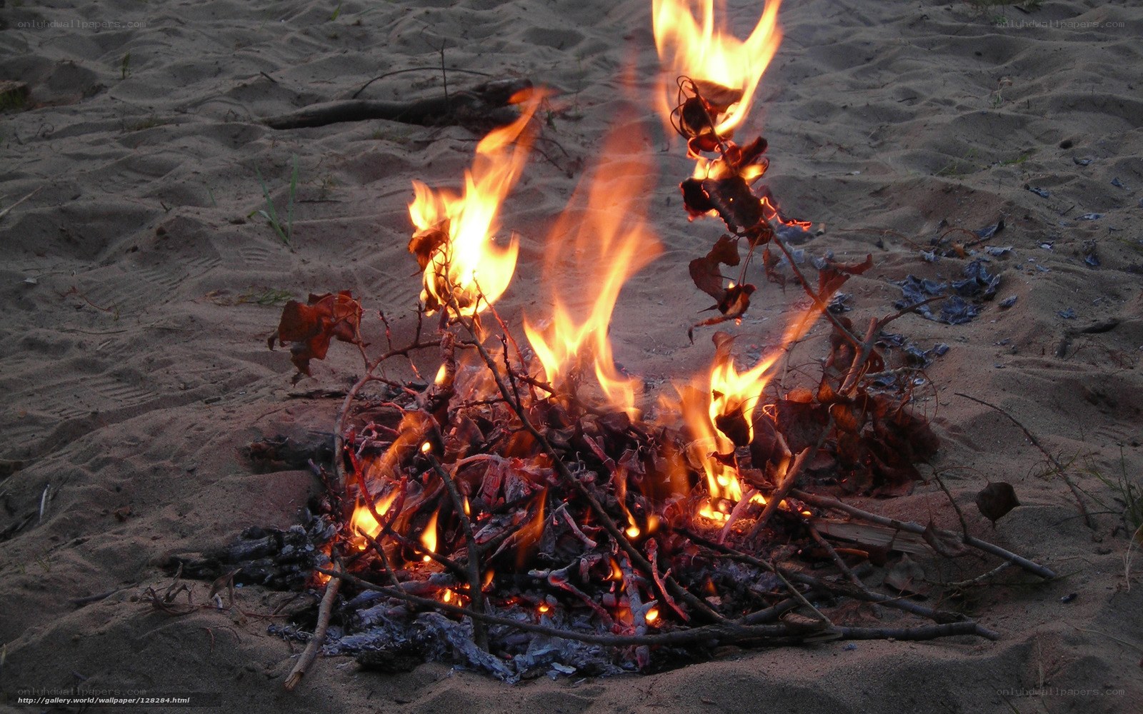 Campfire on sandy beach
