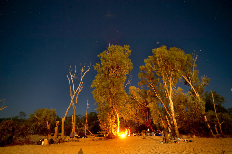 Campfire under starry sky