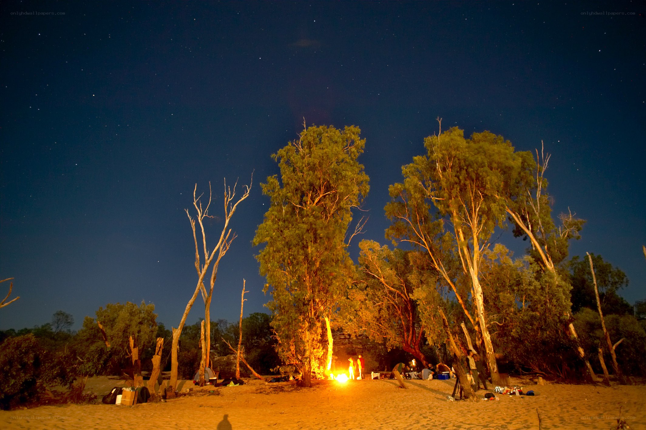 Campfire under starry sky
