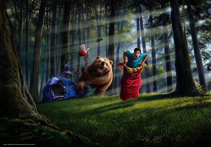 Camping bear attack
