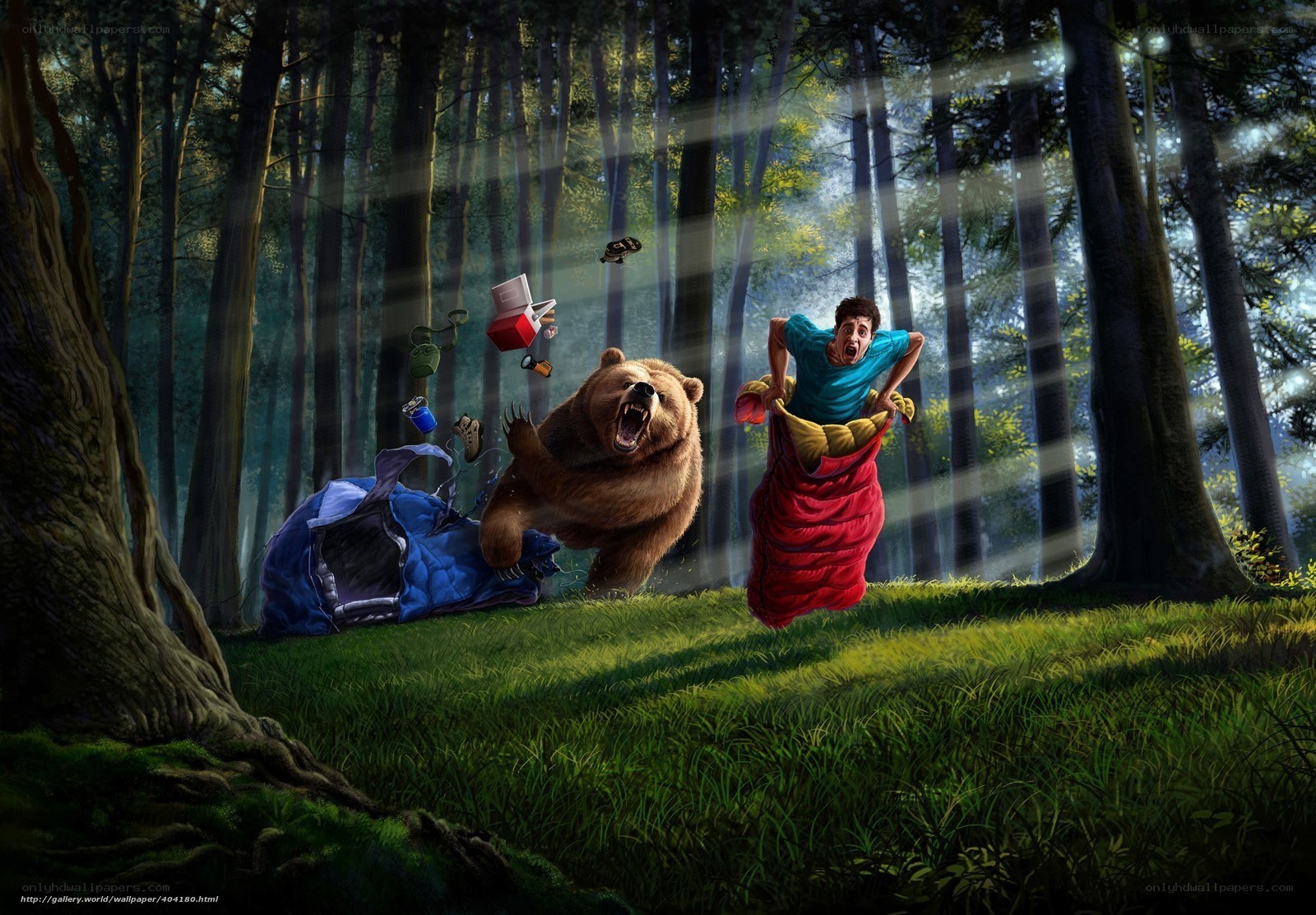 Camping bear attack