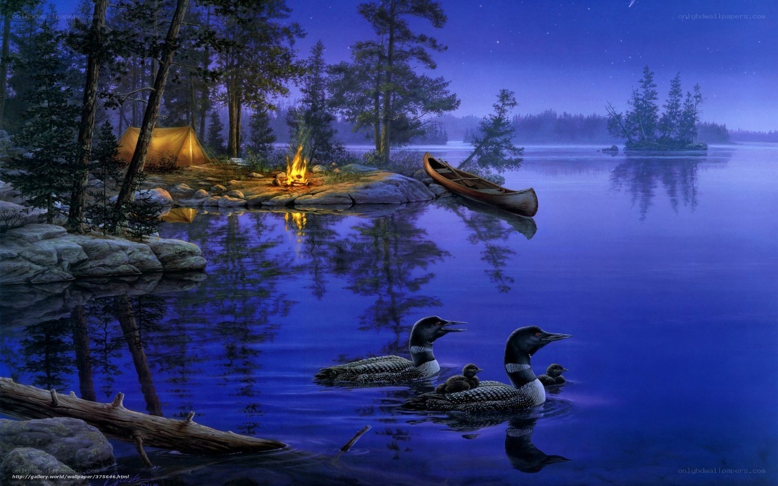 Camping by a lake at night