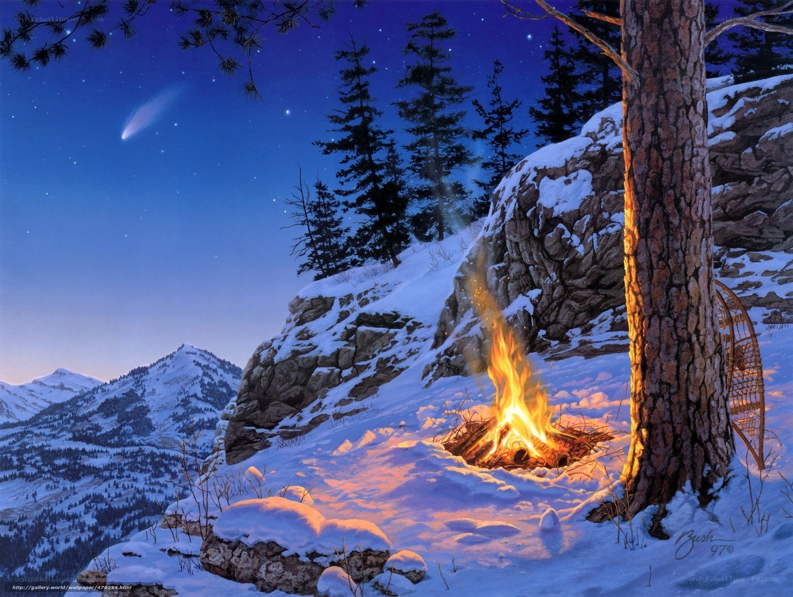 Camping in the winter night