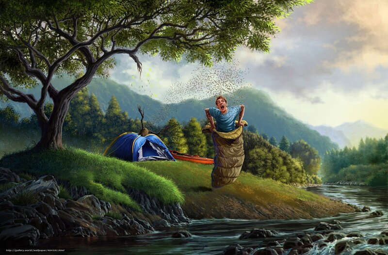 Camping mishap with bugs