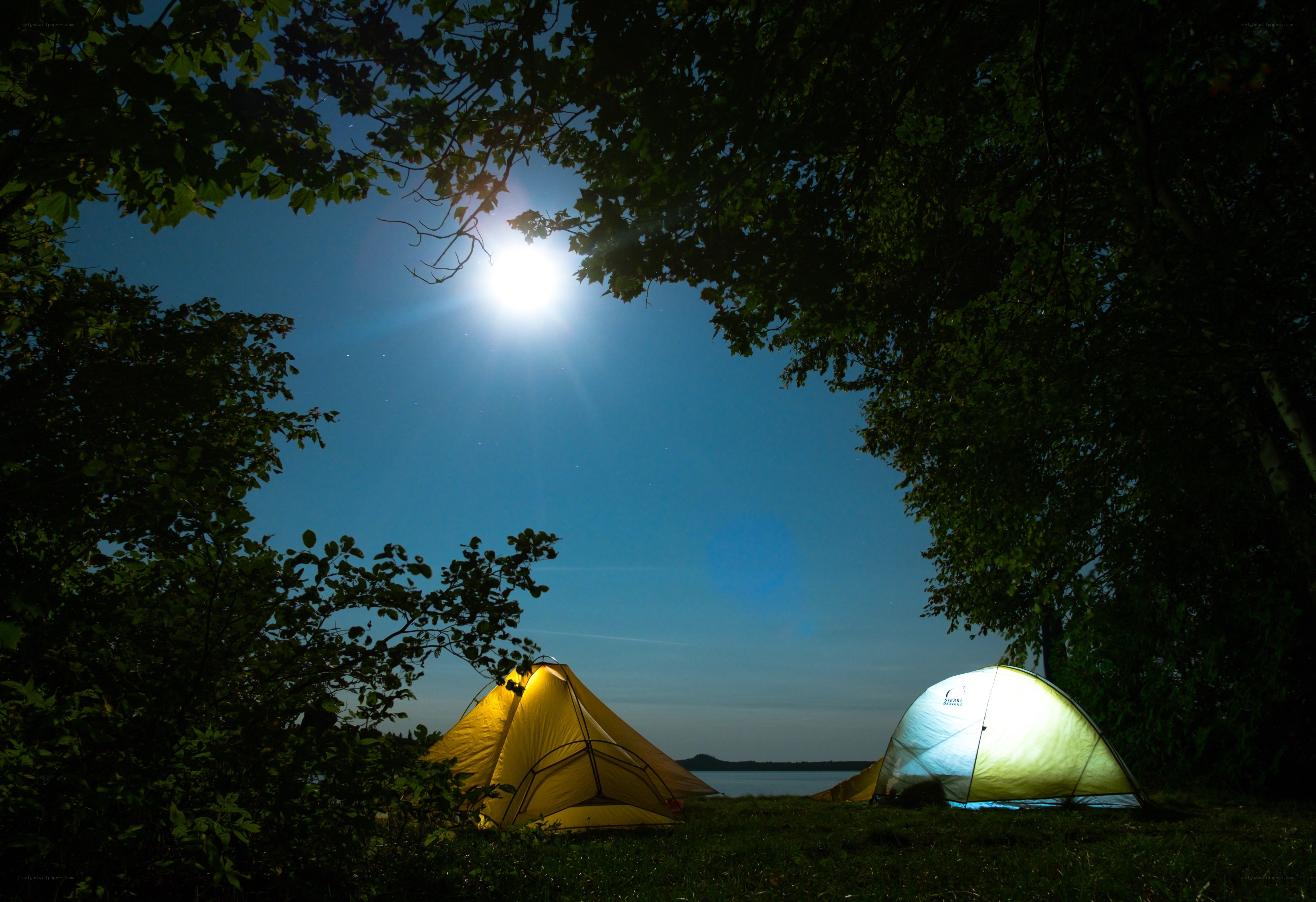 Camping under the moonlight