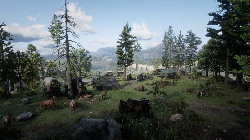 Campsite in Forest — Green