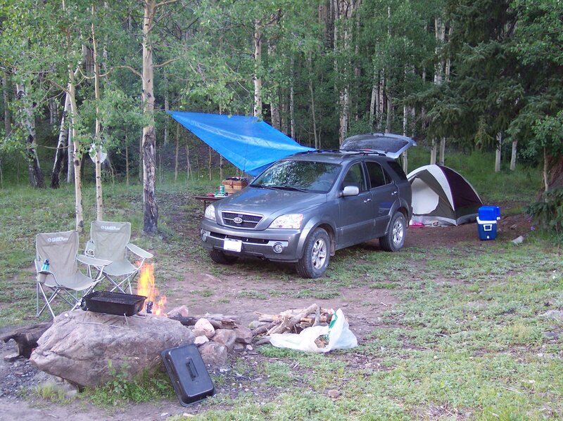 Campsite in Forest